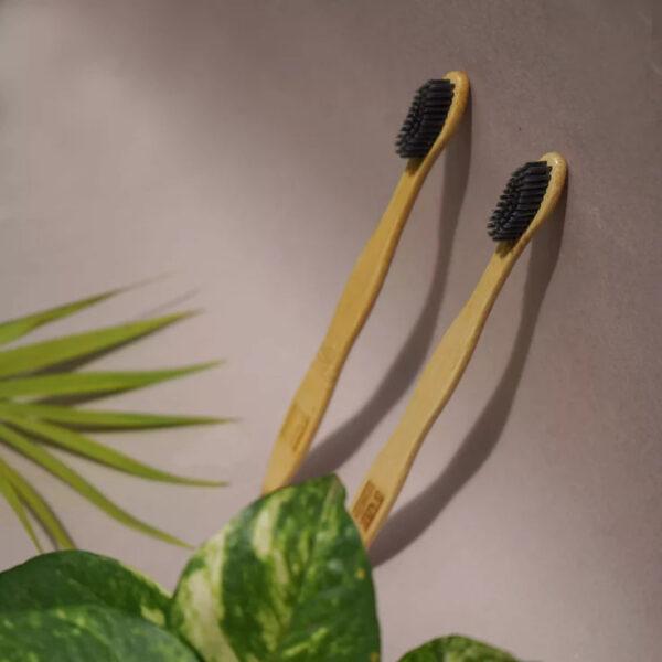 Compostable Bamboo Tooth Brush