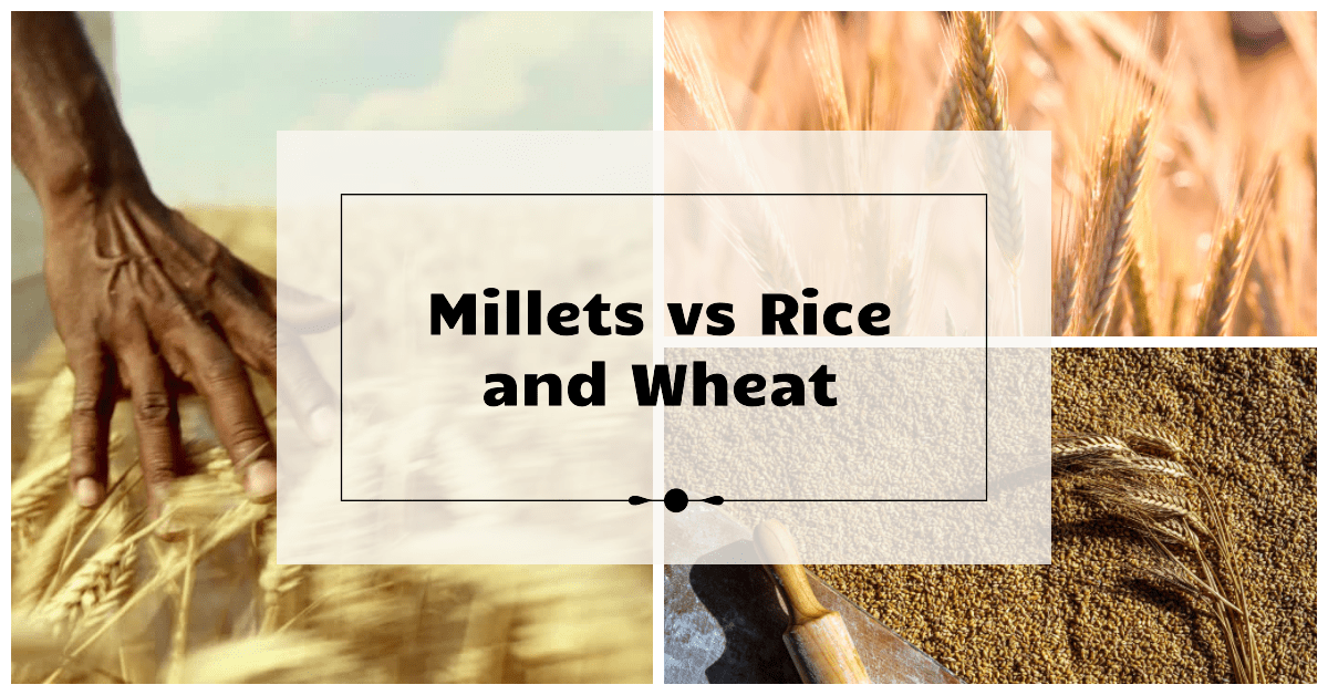 Cover image of millets vs rice and wheat